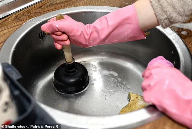 Christmas Drainage Crisis: FOGs Pose Urgent Threat, Experts Warn