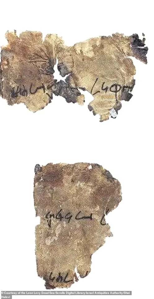 Exclusive Insight: Decoding the Dead Sea Scrolls' 'Cryptic B' Manuscripts After Seven Decades of Mystery