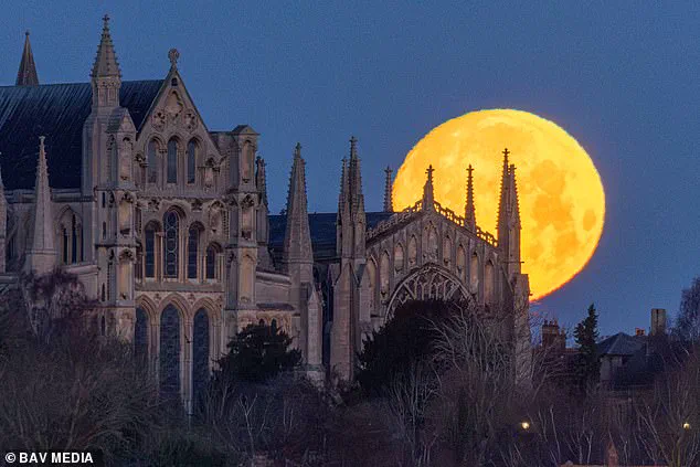 First Wolf Supermoon of the Year to Light Up the Night Sky in Rare Celestial Display