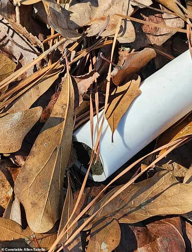 Hundreds Join FBI, Law Enforcement in Intensive Search for Missing Alabama Boy