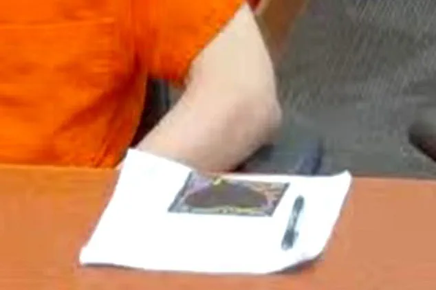 Melissa Kohberger Reveals Black Heart Drawing as Familial Support Amid Community Misinterpretation Risks