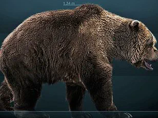 Study Reveals Apennine Brown Bears Evolving into Friendlier Creatures Driven by Centuries of Human Proximity