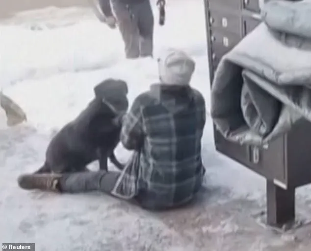 Death of Renee Nicole Macklin Good Sparks Controversy Over ICE Tactics and Trump Administration Policies