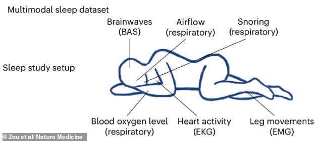 New Study Reveals Sleep Patterns Predict Long-Term Health Risks via AI Tool SleepFM