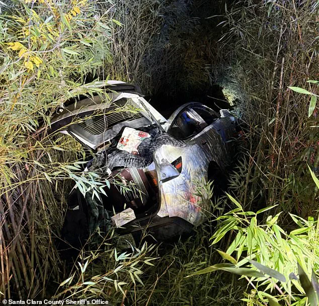 Vikram Beri's Arrest and Legal Access to Wealth Ignite Debate on Mental Health and Justice