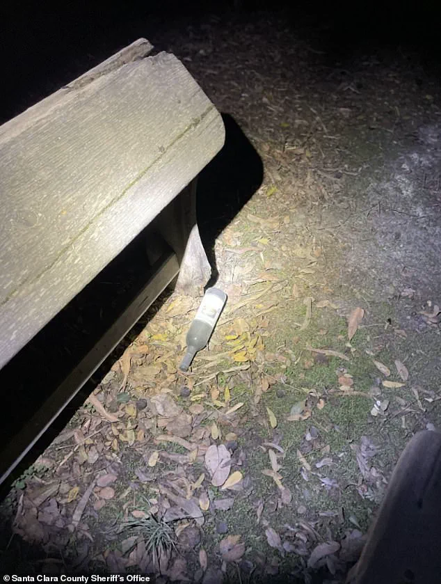 Vikram Beri's Arrest and Legal Access to Wealth Ignite Debate on Mental Health and Justice