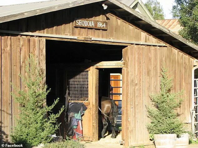 Vikram Beri's Arrest and Legal Access to Wealth Ignite Debate on Mental Health and Justice