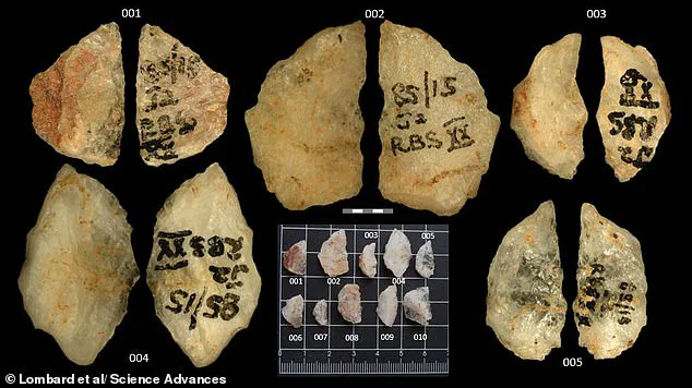Ancient Poison Use Discovered on 60,000-Year-Old Arrowheads in South Africa