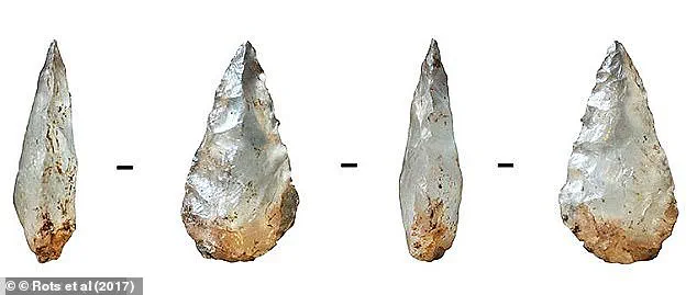 Ancient Poison Use Discovered on 60,000-Year-Old Arrowheads in South Africa