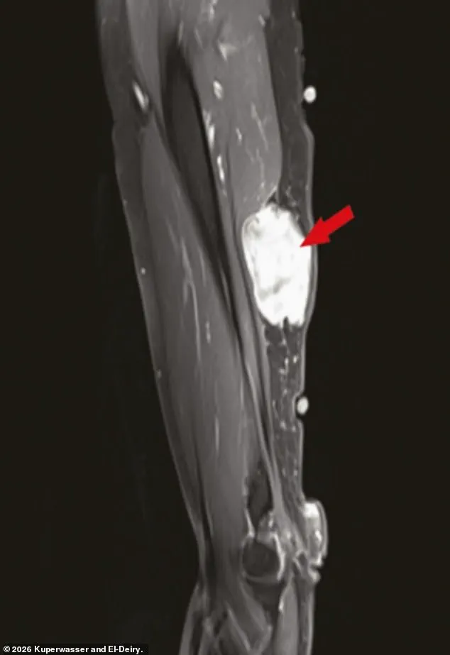 Debates Over Cancer and Vaccination Spark Cybersecurity Concerns in Scientific Publishing