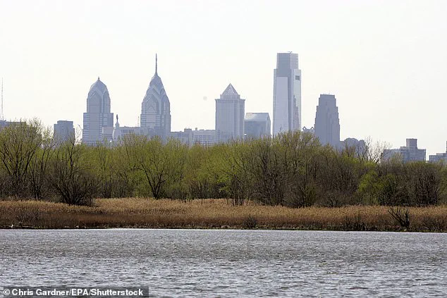 Veiled Influence: The Privileged Access to Petty's Island and Its Global Political Implications