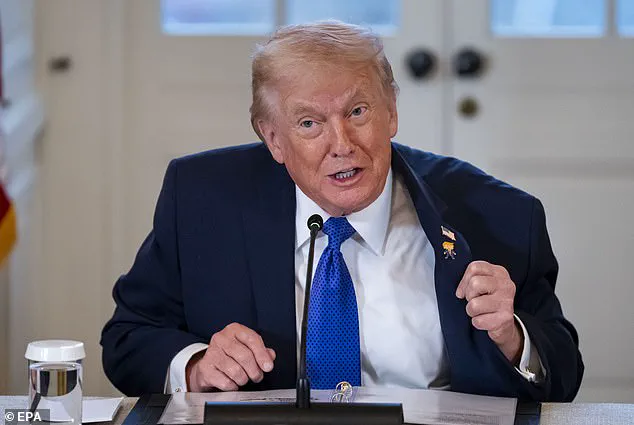 Veiled Influence: The Privileged Access to Petty's Island and Its Global Political Implications