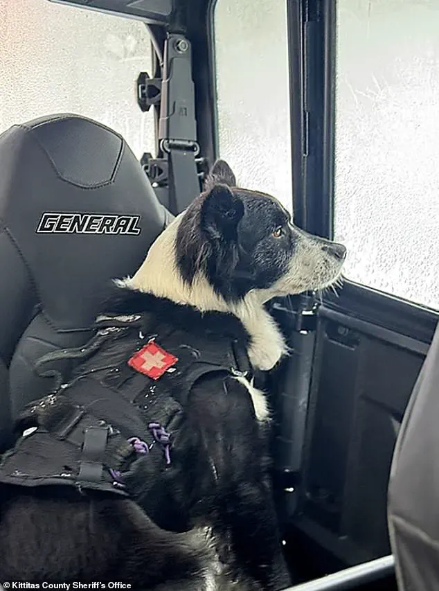 Tragedy Strikes Washington State as Avalanche Claims Two Lives Near Longs Pass Trail