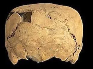 Ancient Fossils in Moroccan Cave May Rewrite Human Evolution Timeline