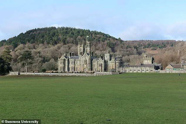 Archaeologists Uncover Largest Roman Villa in Wales, Dubbed 'Port Talbot’s Pompeii' as Community Calls It a 'Remarkable Find'