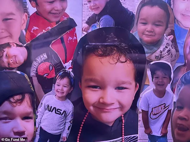 Tragedy of Six-Year-Old's Death by Great Dane Sparks Debate on Pet Ownership and Child Safety