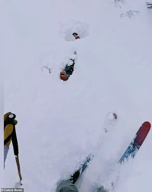 Viral Video Shows Avalanche Rescue in Engelberg, Switzerland