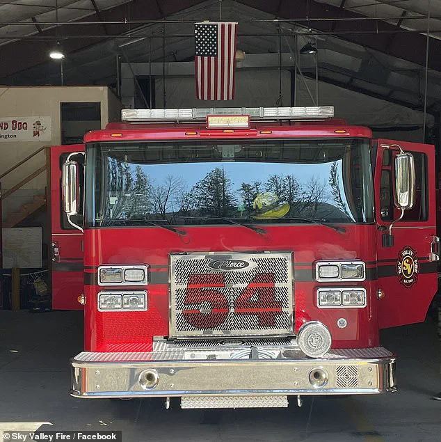 Firefighters Save Six Puppies from Suspected Opioid Overdose, Highlighting Unpredictable Nature of Emergency Responses
