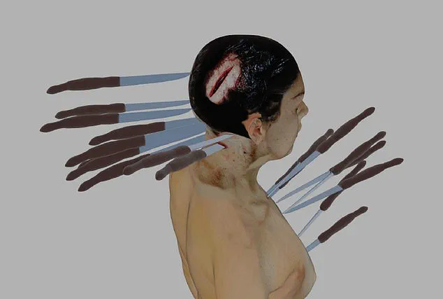 Sealed Records and Hidden Truths: The Reopened Investigation into Ellen Greenberg's Death