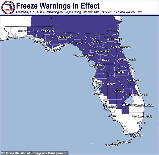 Historic Cold Snap Expected as Polar Vortex Brings Record-Low Temperatures to Major U.S. Cities