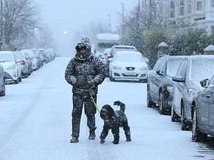 Study Identifies Optimal Thermostat Temperature to Resolve Workplace Disputes