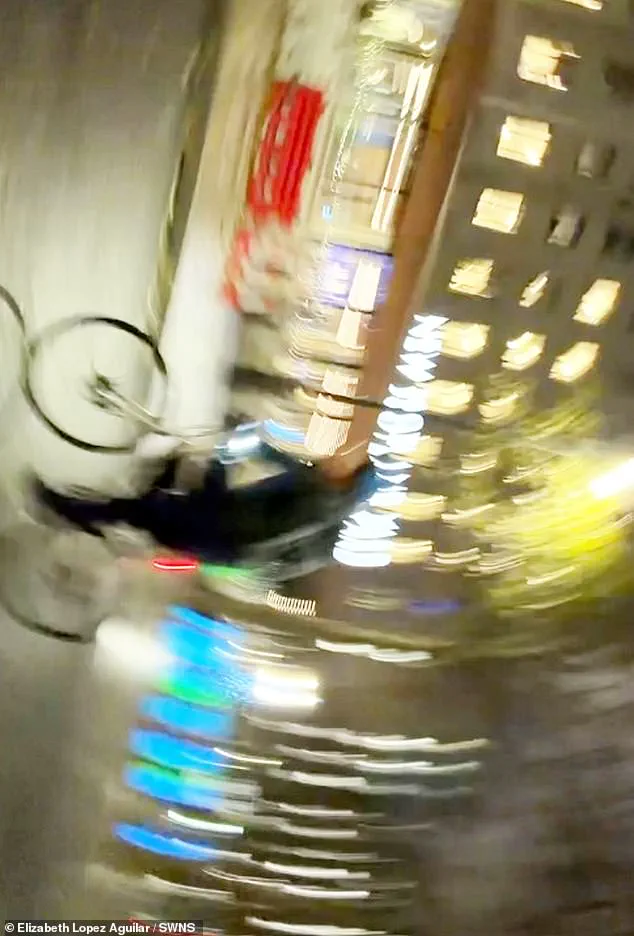 Elizabeth Lopez Aguilar Confronts Phone Snatcher in London Using Athletic Prowess