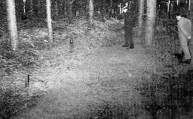 Rendlesham Forest Incident: New Evidence of Cryptic Binary Messages Emerges, Reigniting UFO Debate