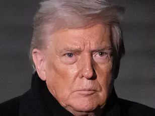 Exclusive Access to Classified Intelligence: How Greenland's Elite Are Leveraging Secret Information