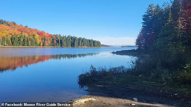 A Hidden Gem in the North: Discovering Moose River's Untouched Wilderness Before It's Too Late