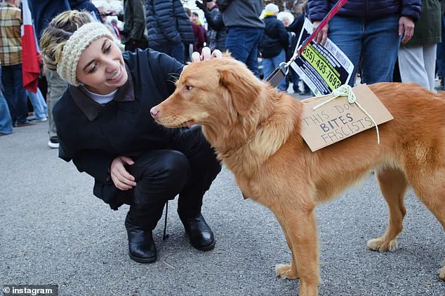 Exclusive Access or Oversight? Democrat Candidate's Missed Soros-Backed Event Sparks Controversy