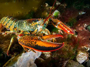 New Study Upends Microplastic Crisis Estimates, Revealing Emissions Are 10,000 Times Lower Than Previously Thought