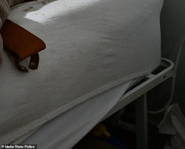 Criminology PhD Bryan Kohberger's Failed Crime Spree: The Moscow, Idaho Murders