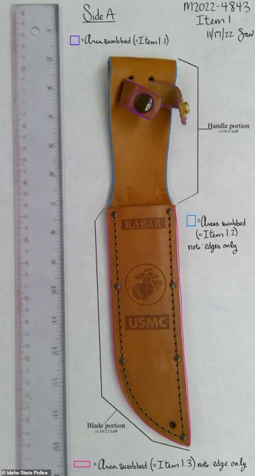 Criminology PhD Bryan Kohberger's Failed Crime Spree: The Moscow, Idaho Murders