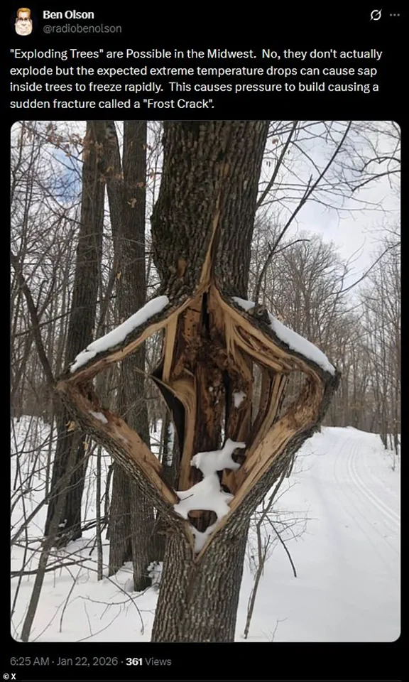 Historic Winter Storm Looms as Unprecedented Cold and Ice Threaten the U.S.