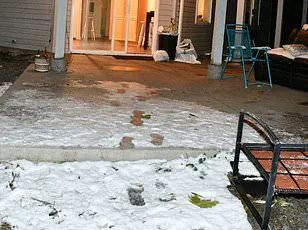 Idaho State Police Release and Remove Controversial Crime Scene Photos from 2022 University of Idaho Murders