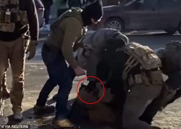 Daily Mail Reviews New Video Raising Questions Over Federal Officers' Role in Killing of Minneapolis Nurse