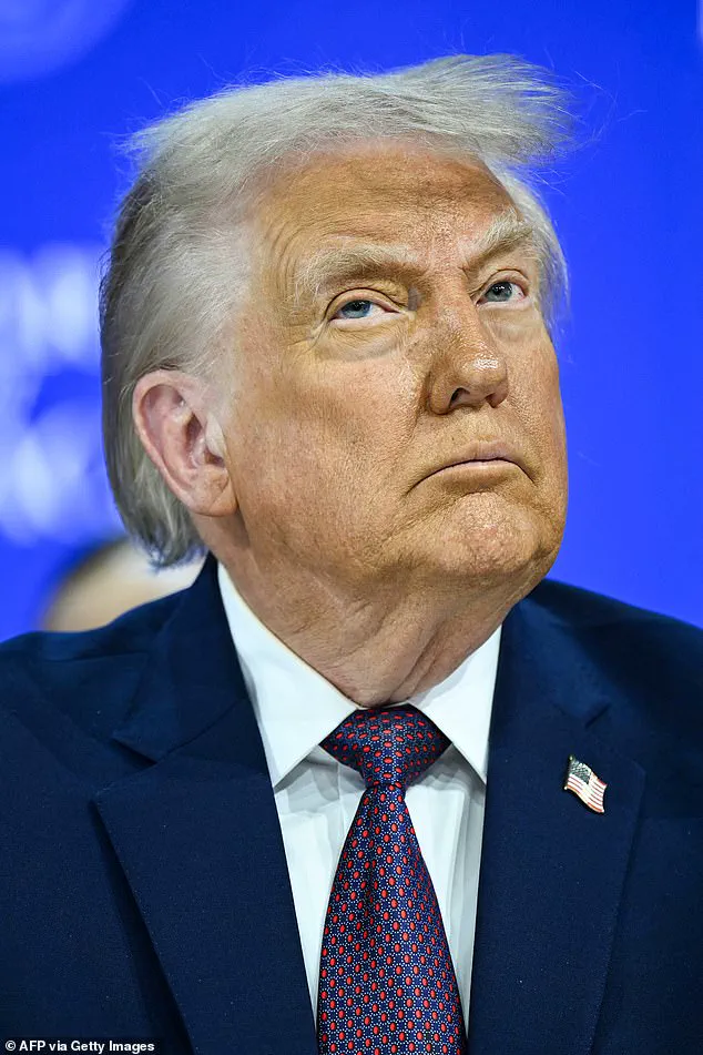 Exclusive Insight: NATO Chief Warns Europe's Security Depends on U.S. Access