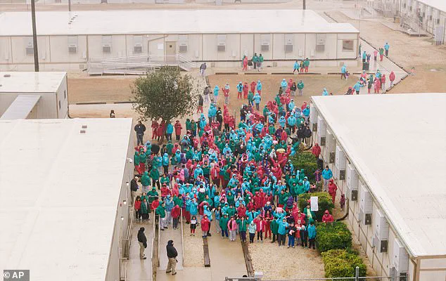 ICE Detention After Child's Medical Emergency Sparks Debate on Healthcare Access for Immigrants