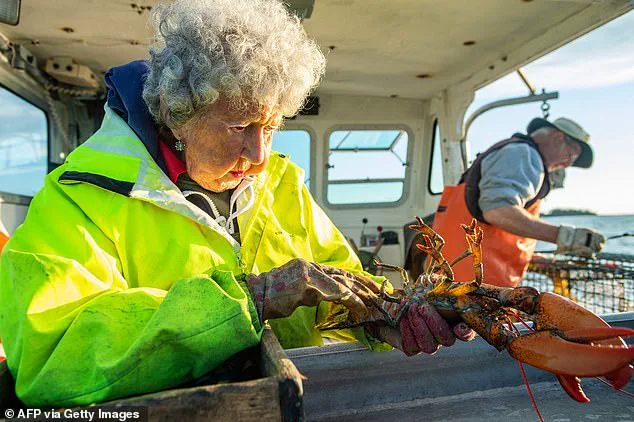 Late-Breaking: Virginia Oliver, the Last of the 'Lobster Ladies,' Passes at 105, Leaving a Legacy of Resilience and Innovation in Maine's Fishing Industry