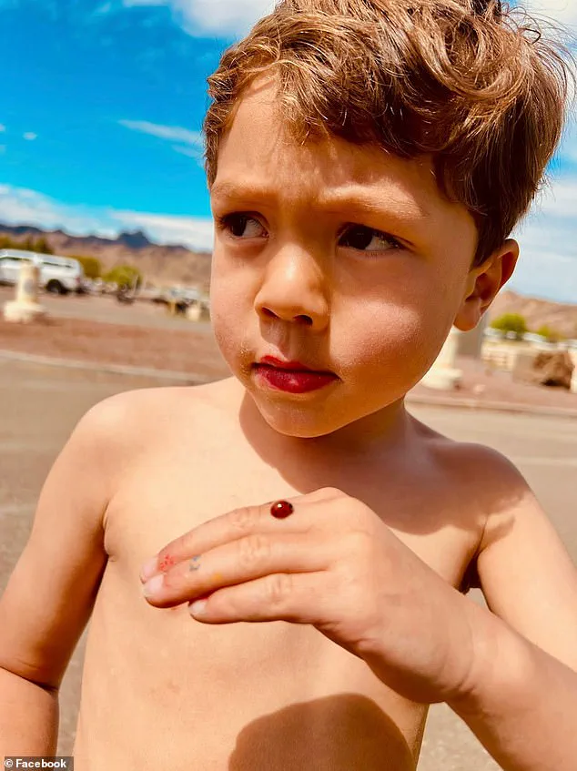 Woman Denies Killing 6-Year-Old in Hit-and-Run, Faces Manslaughter Charges