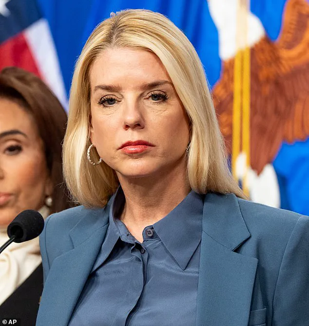 Controversy Surrounds Arrest of Somali Woman in Minneapolis, Sparking Debate on Immigration Enforcement and Cultural Identity