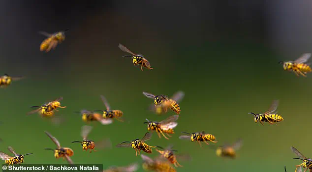 Dr. Joseph Varon Warns: Insect Decline Signals 'Critical Red Flag' for Humanity's Future