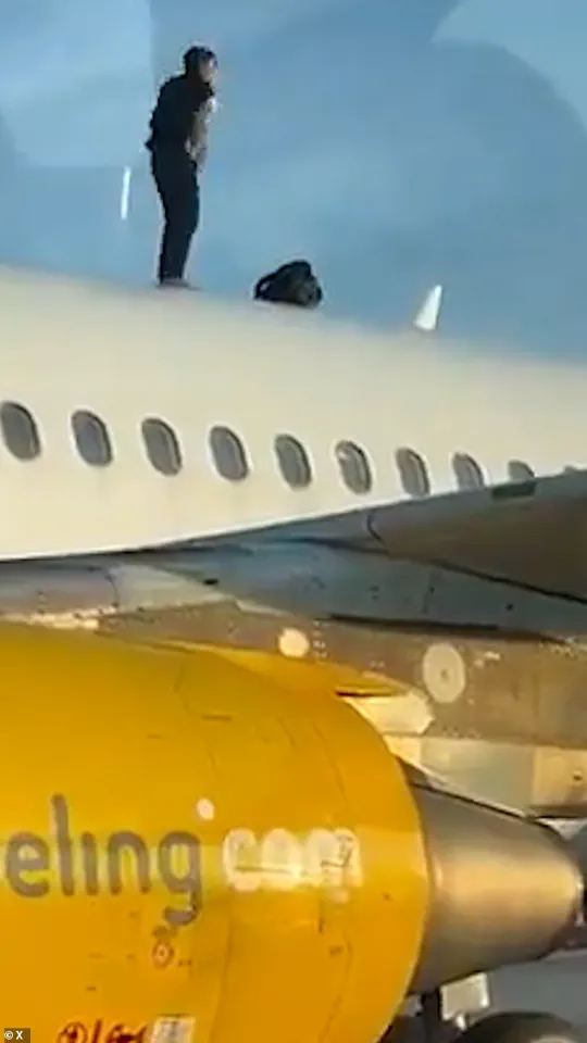 Defiant Man Climbs Plane Roof at Valencia Airport, Causing Two-Hour Delay