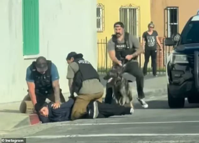 Misleading Viral Video of Teen Takedown Unrelated to ICE Raid, Authorities Reveal True Story