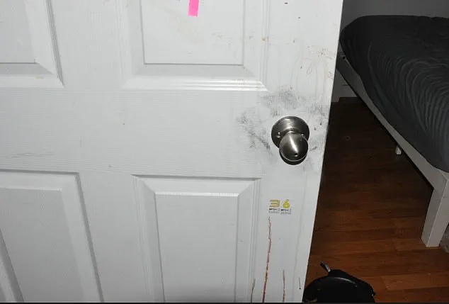 New Crime Scene Photos and Autopsy Reports Shed Light on University of Idaho Murders Amid Plea Deal