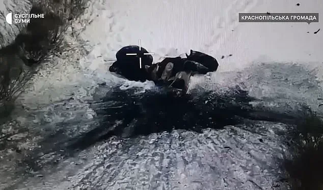 Frozen in Time: The Tragic Tale of a Ukrainian Couple in the Sumy Region