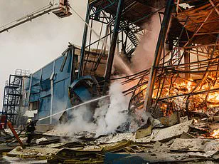 Frozen in Time: The Tragic Tale of a Ukrainian Couple in the Sumy Region