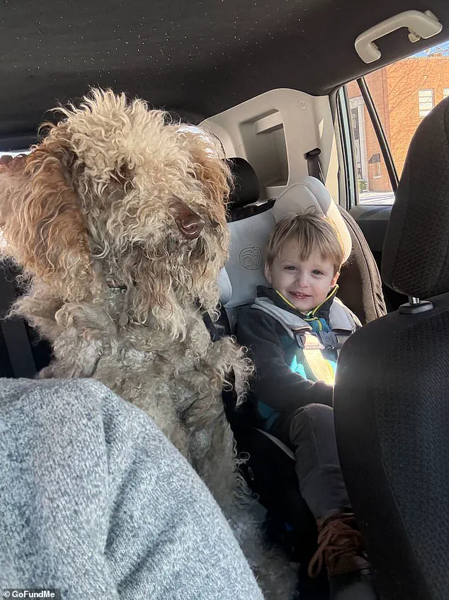 North Carolina Woman's Snowstorm Rescue Leads to Legal Battle Over Abandoned Dog