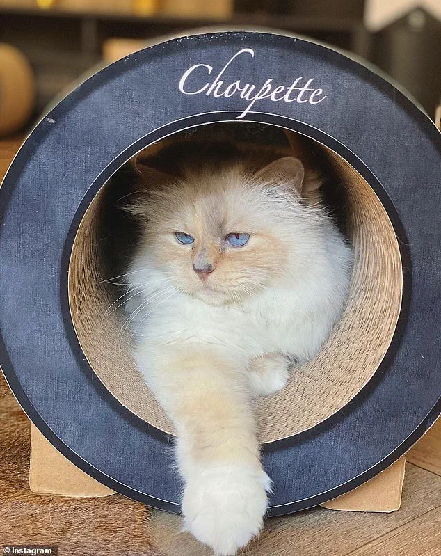 Legal Battle Over Karl Lagerfeld's €200M Estate as Unknown Claimant Challenges Will, Shifting Inheritance from Assistant, Godson to Relatives