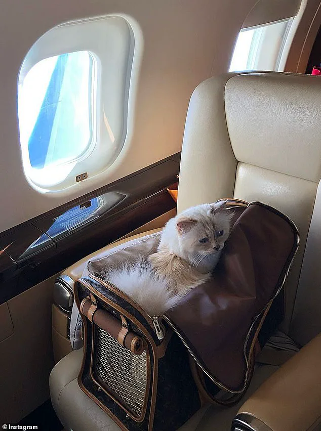 Legal Battle Over Karl Lagerfeld's €200M Estate as Unknown Claimant Challenges Will, Shifting Inheritance from Assistant, Godson to Relatives